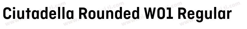 Ciutadella Rounded W01 Regular字体转换